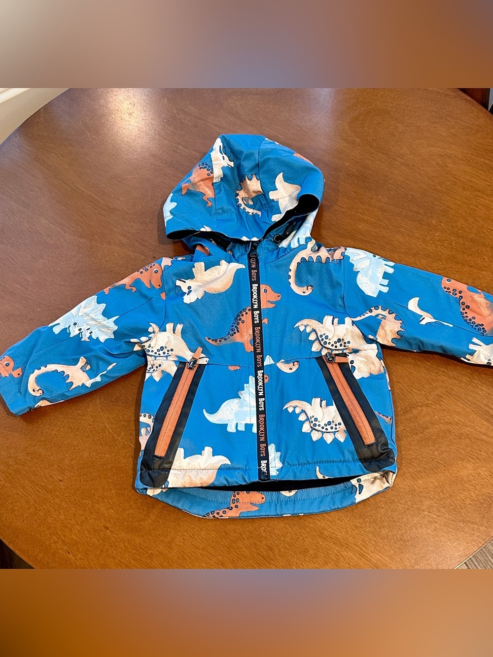 Blue Dino-Print Hooded Kids Jacket